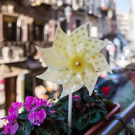 Homeboutique * Cagliari